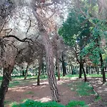 A&b Rhodes Διαμέρισμα *