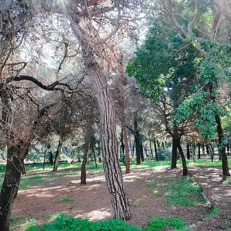 A&b Rhodes Apartamento *